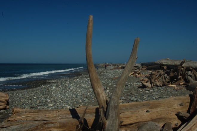 Along the Dungeness Spit, part of the Dungeness Natl Wildlife Refuge